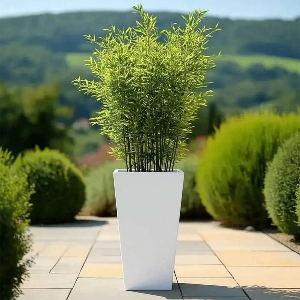 #30cm(L) x 30cm(W) x 70cm(H)
#white