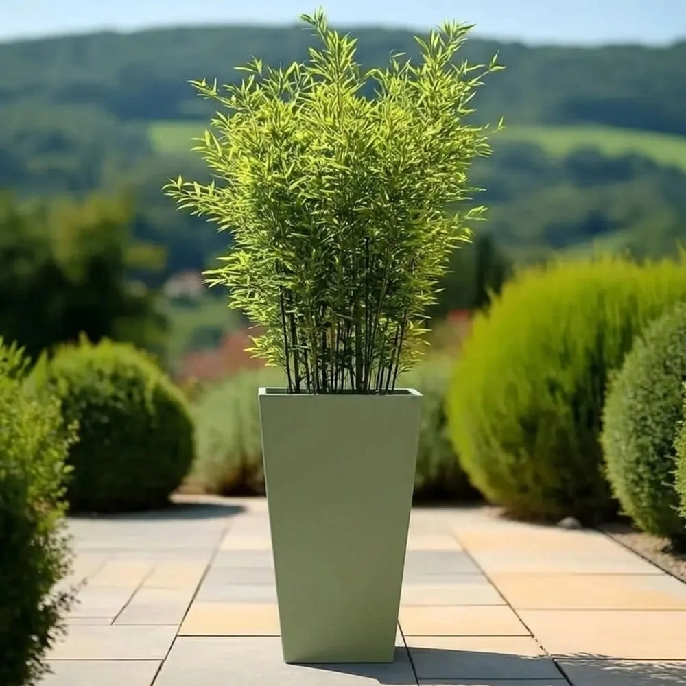 #Green
#30cm(L) x 30cm(W) x 70cm(H)