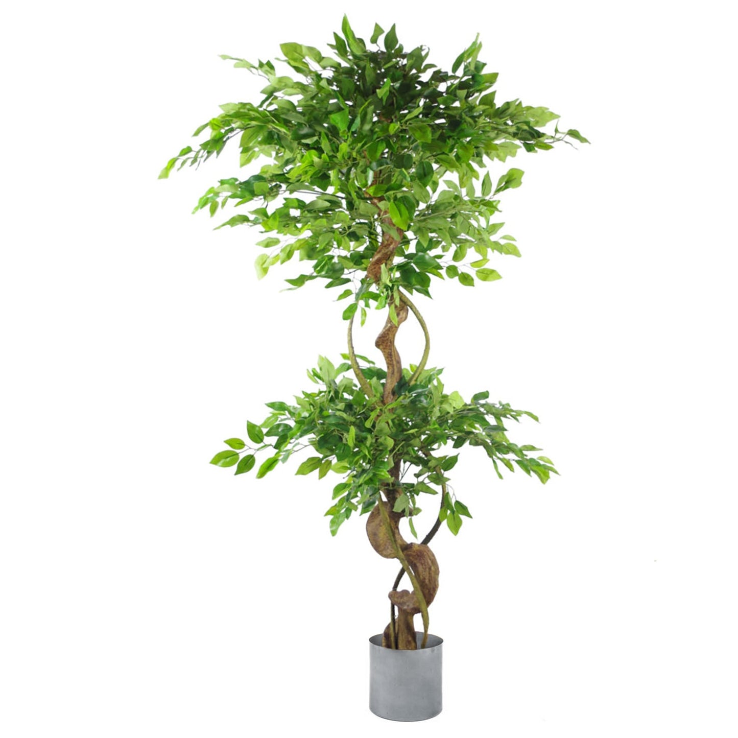 150cm Twisted Trunk Artificial Japanese Fruticosa Ficus Tree Silver Planter