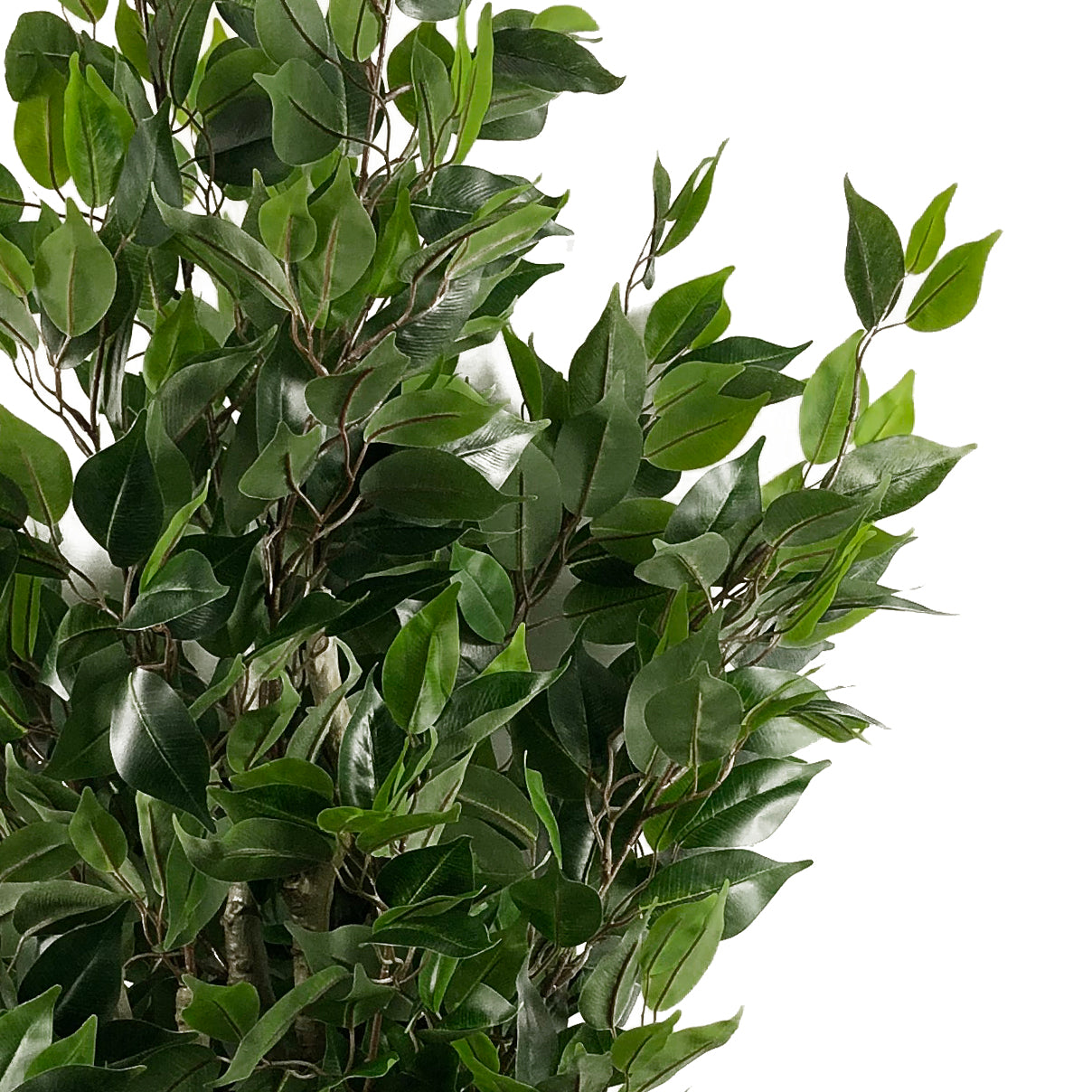 110cm Artificial Evergreen Ficus Tree Gold Curve Planter