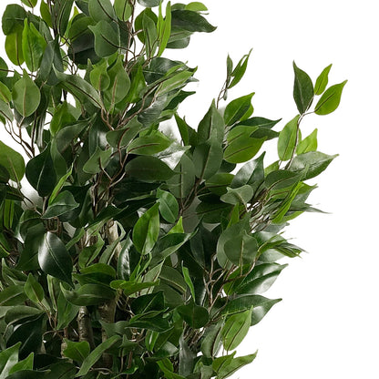 110cm Artificial Evergreen Ficus Tree Gold Curve Planter