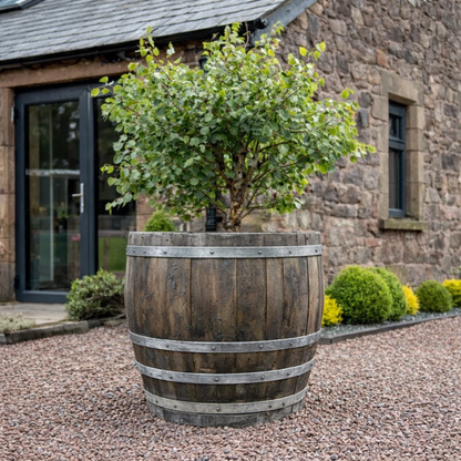#90cm(D) x 94cm(H) 3/4 Barrel
#Natural Timber/Rustic Silver Band
#with Liner
#without Liner