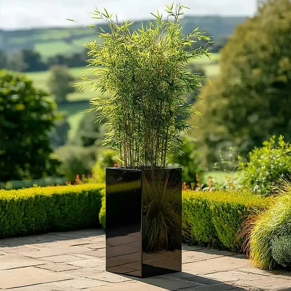 #32cm(L) x 32cm(W) x 75cm(H)
#glossy black