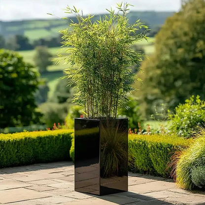 #32cm(L) x 32cm(W) x 75cm(H)
#glossy black