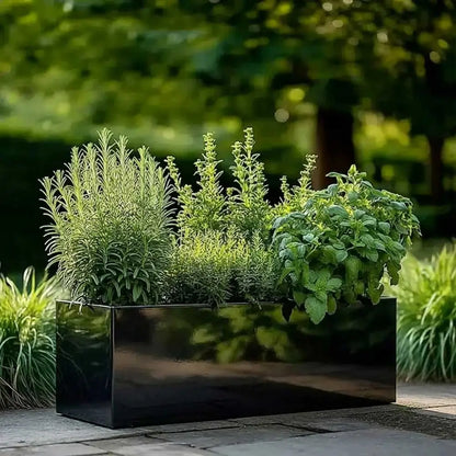 #Glossy Black
#70cm(L) x 24cm(W) x 24cm(H)
#75cm(L) x 32cm(W) x 32cm(H)
#With Liner
#No Liner