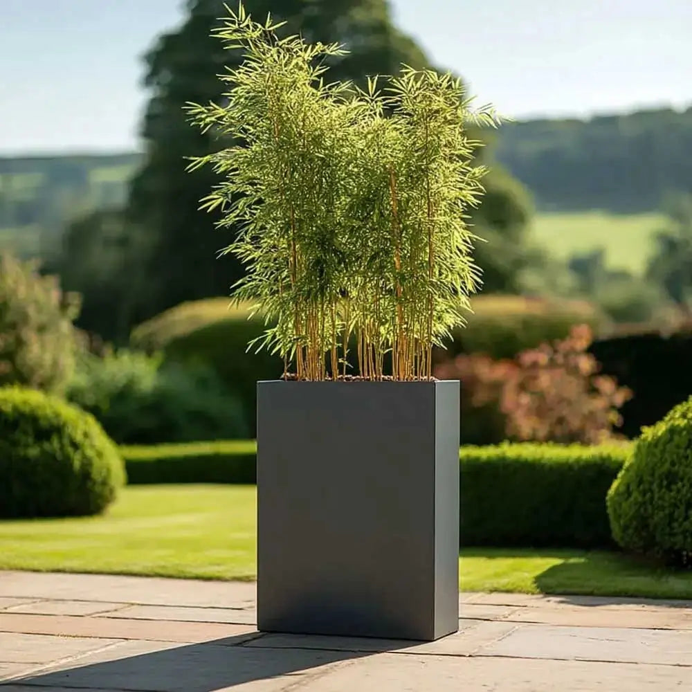 #75cm(L) x 25cm(W) x 90cm(H)
#grey