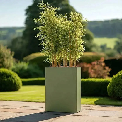 #Green
#75cm(L) x 25cm(W) x 90cm(H)