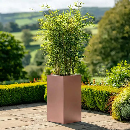 #32cm(L) x 32cm(W) x 75cm(H)
#Rose Gold