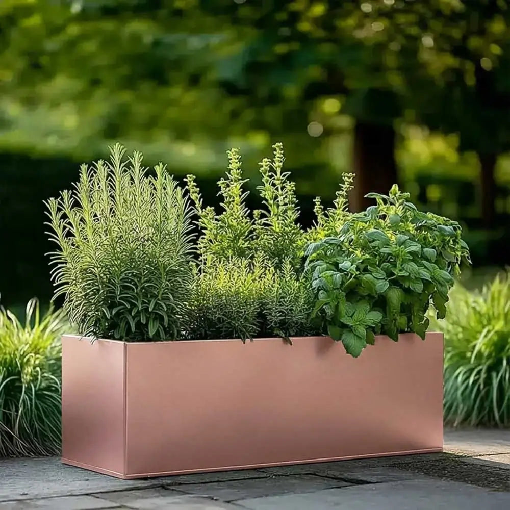 #Rose Gold
#70cm(L) x 24cm(W) x 24cm(H)
#75cm(L) x 32cm(W) x 32cm(H)
#With Liner
#No Liner