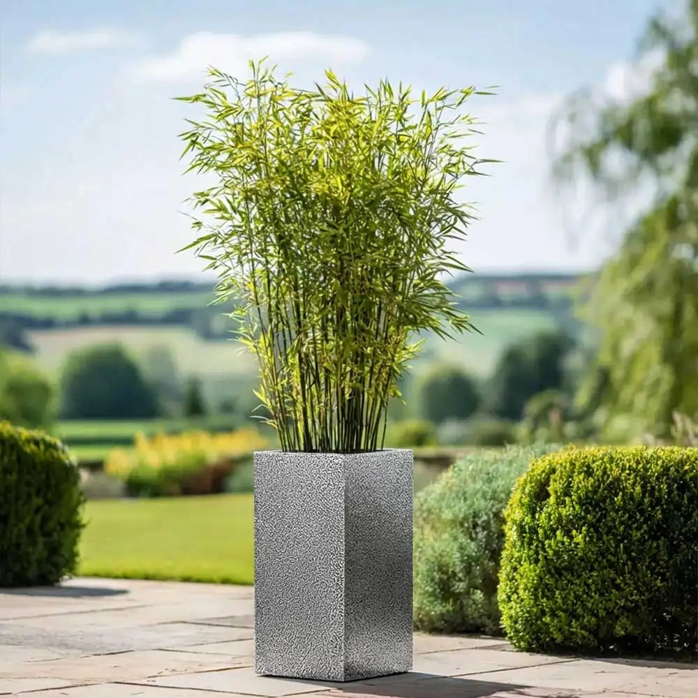 #32cm(L) x 32cm(W) x 75cm(H)
#silver black