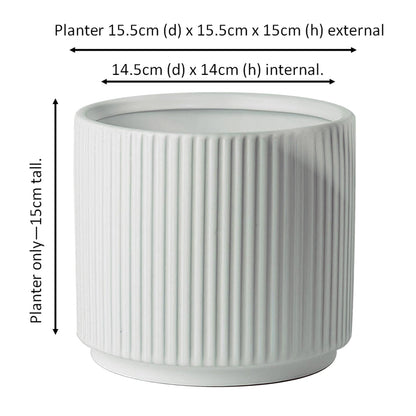 White Ribbed Ceramic Plant Pot 16 x 16 x 15cm