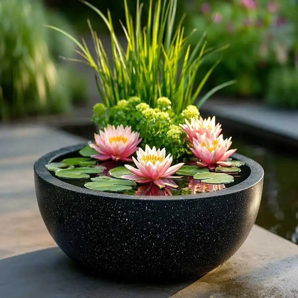 #76cm(D) x 36cm(H)
#black stone