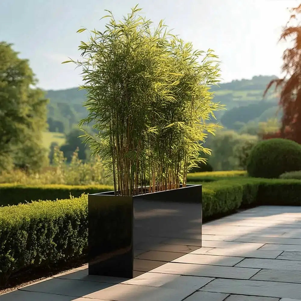 #80cm(L) x 25cm(W) x 60cm(H)
#glossy black