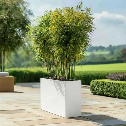 #80cm(L) x 25cm(W) x 60cm(H)
#white