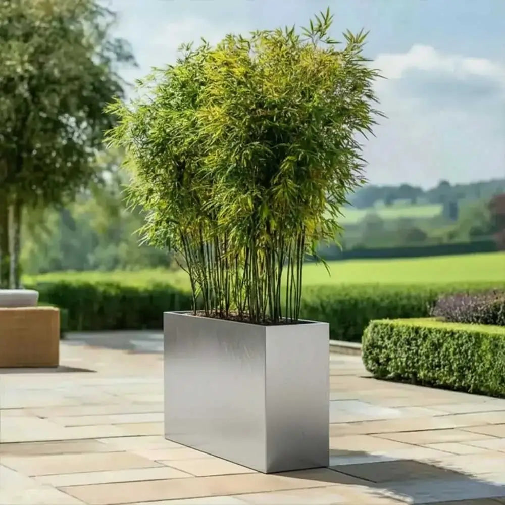 #80cm(L) x 25cm(W) x 60cm(H)
#silver