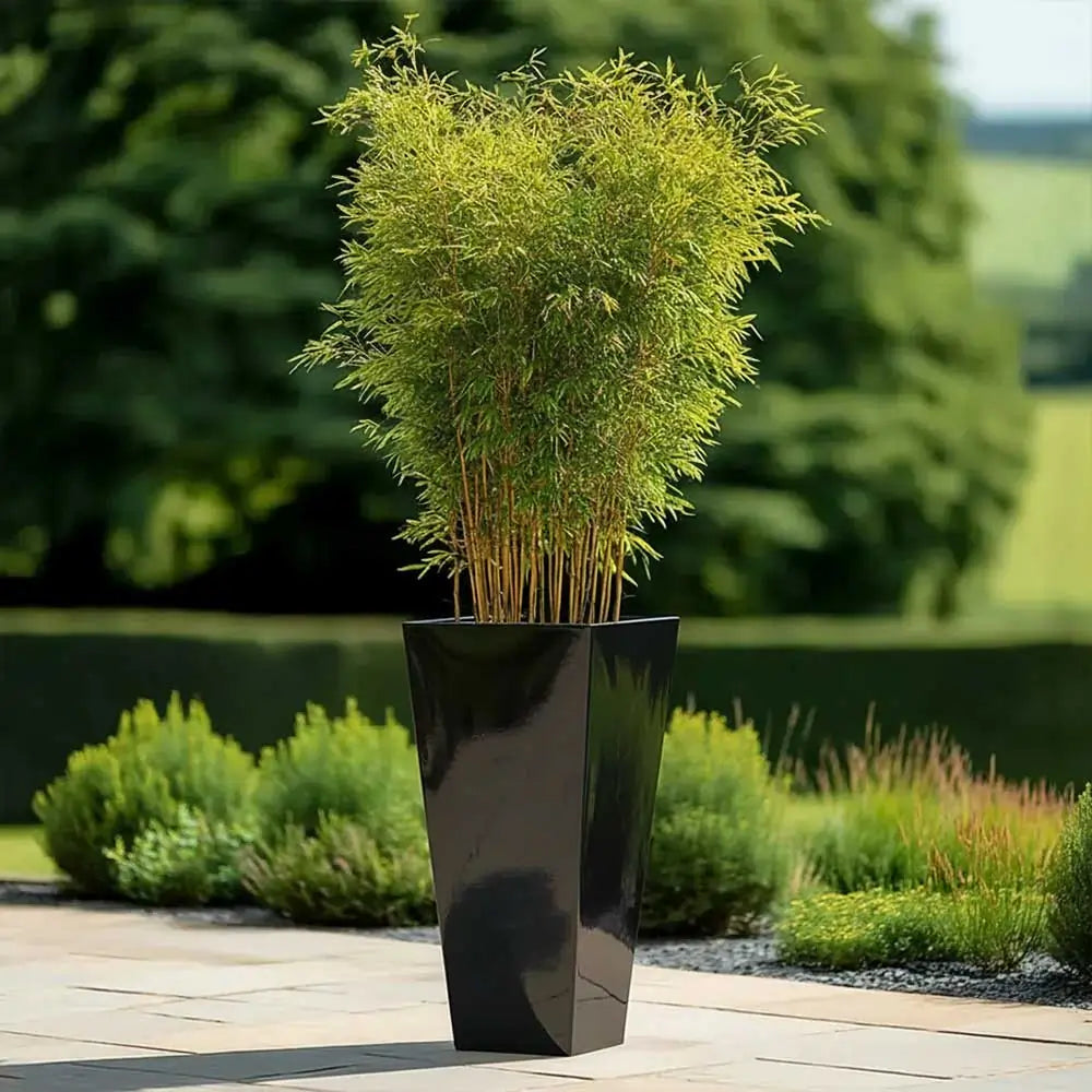 #40cm(L) x 40cm(W) x 90cm(H)
#30cm(L) x 30cm(W) x 70cm(H)
#glossy black