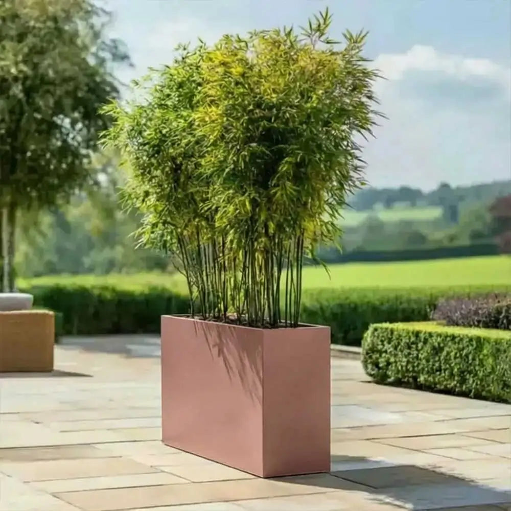 #90cm(L) x 30cm(W) x 60cm(H)
#rose gold