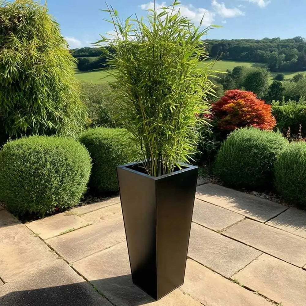 #40cm(L) x 40cm(W) x 90cm(H)
#black