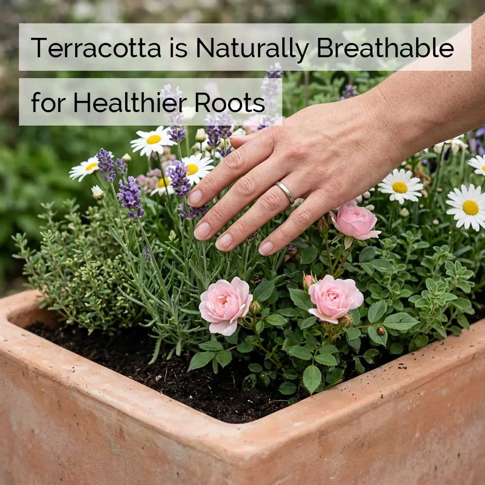 #68cm(L) x 22cm(W) x 24cm(H)