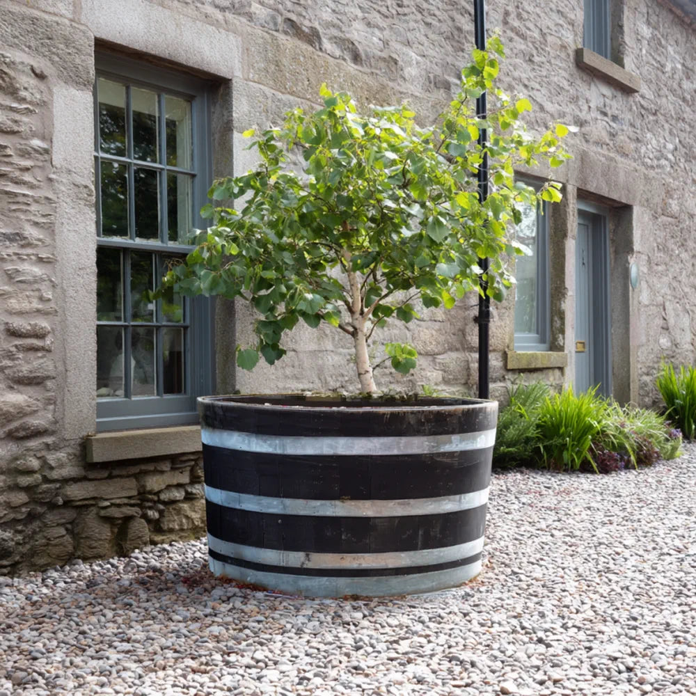#90cm(D) x 65-66cm(H) Half Barrel
#Natural Timber/Rustic Silver Band
#with Liner
#without Liner