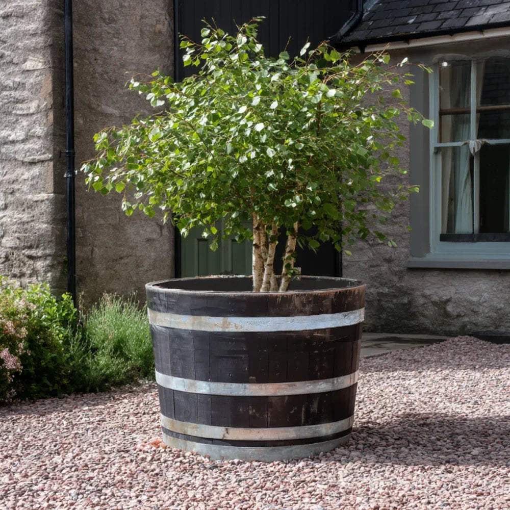 #90cm(D) x 65-66cm(H) Half Barrel
#Natural Timber/Rustic Silver Band
#with Liner
#without Liner