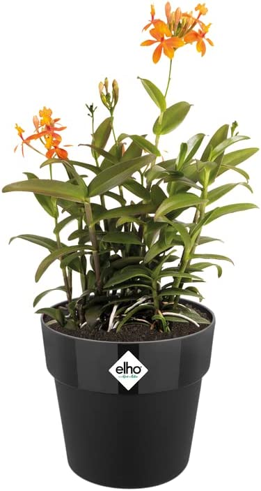 Elho B.FOR ORIGINAL Round Black Plastic Plant Pot 14CM