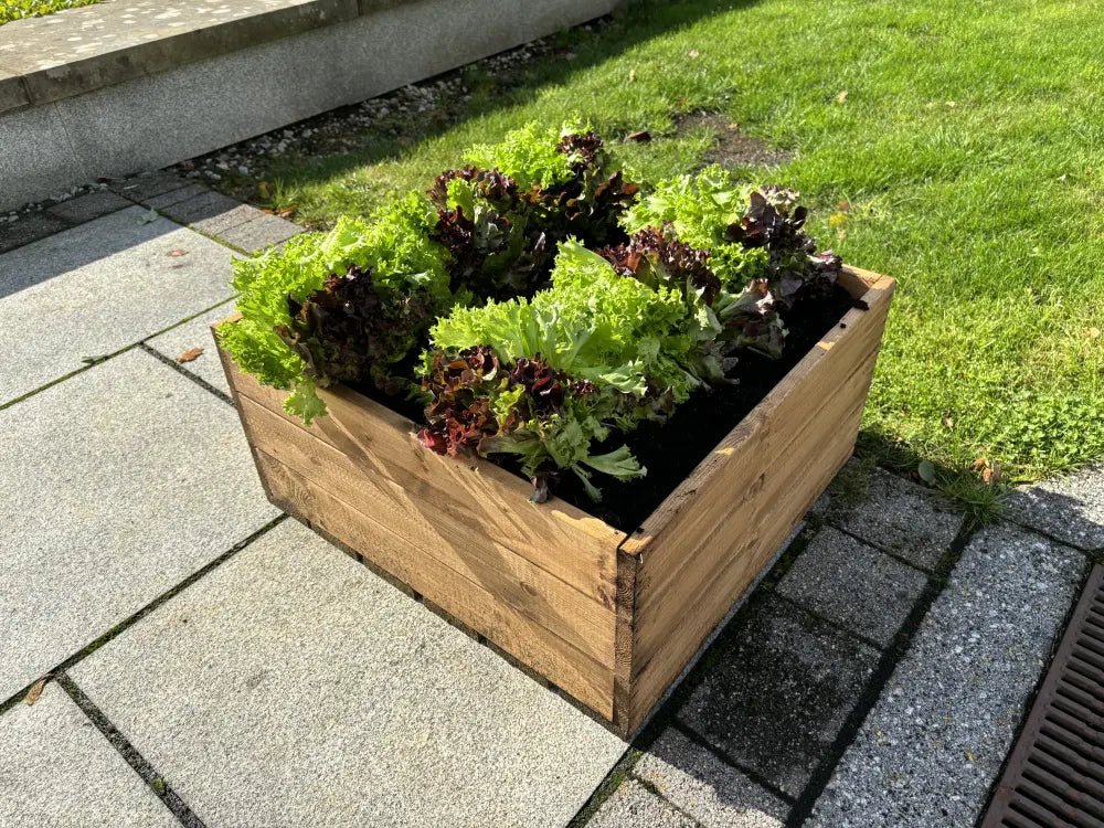 #60cm(L) x 60cm(W) x 30cm(H)