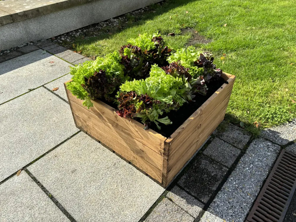 #60cm(L) x 60cm(W) x 30cm(H)