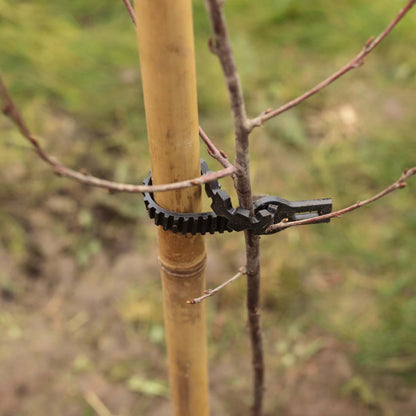 Extra Thick Bamboo Tree Stake & Supersoft Tie