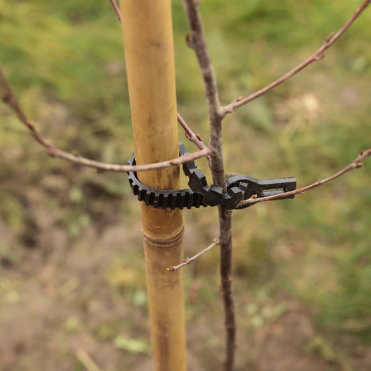 Extra Thick Bamboo Tree Stake & Supersoft Tie