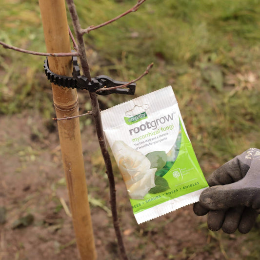 Full Tree Planting Kit | Extra Strong Stake, Supersoft Tie & Rootgrow
