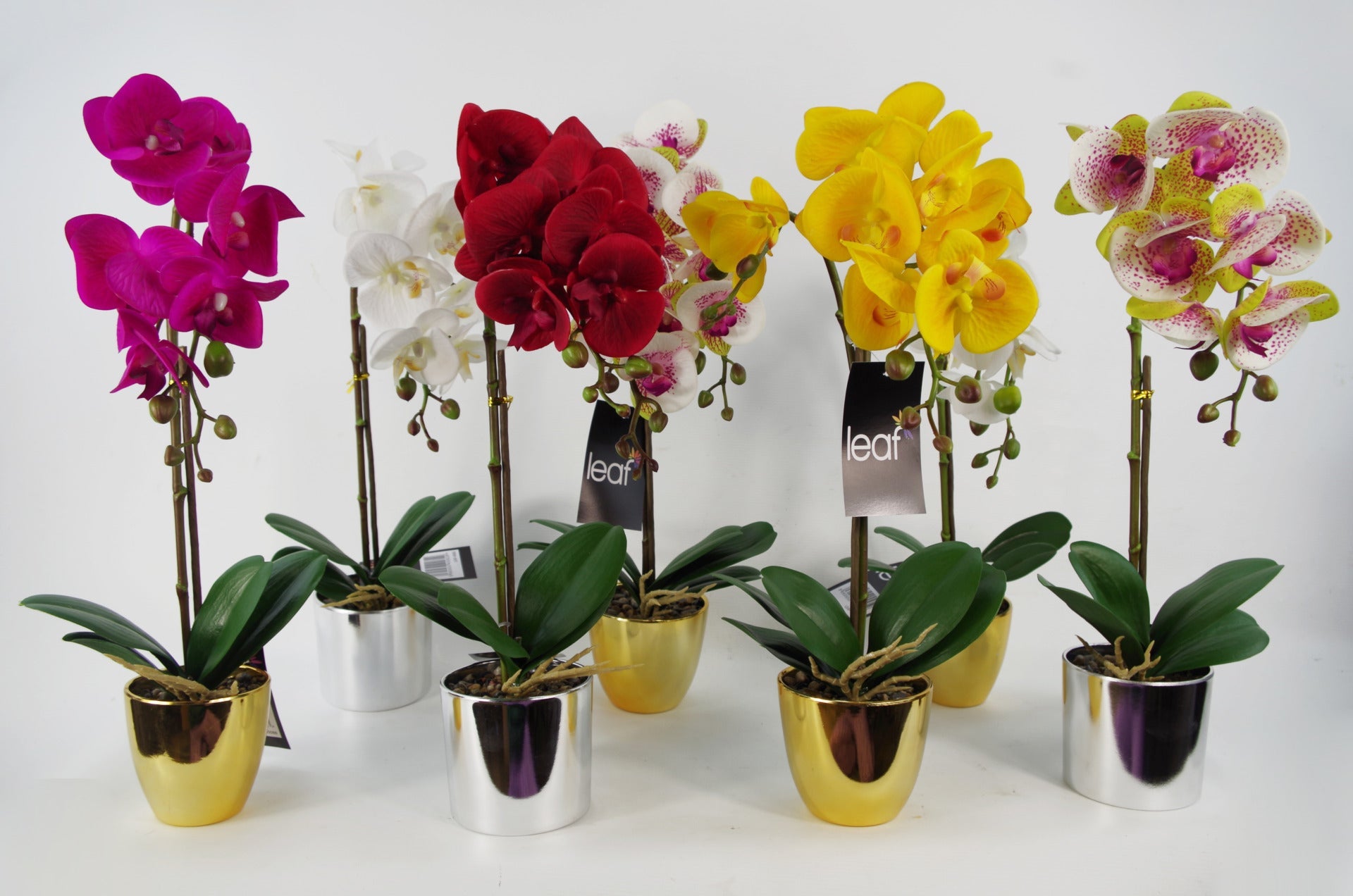 52cm Artificial Orchid Large -White / Silver