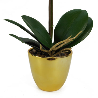 46cm Artificial Orchid Dark White / Gold