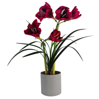 60cm Artificial Amarylis Pink