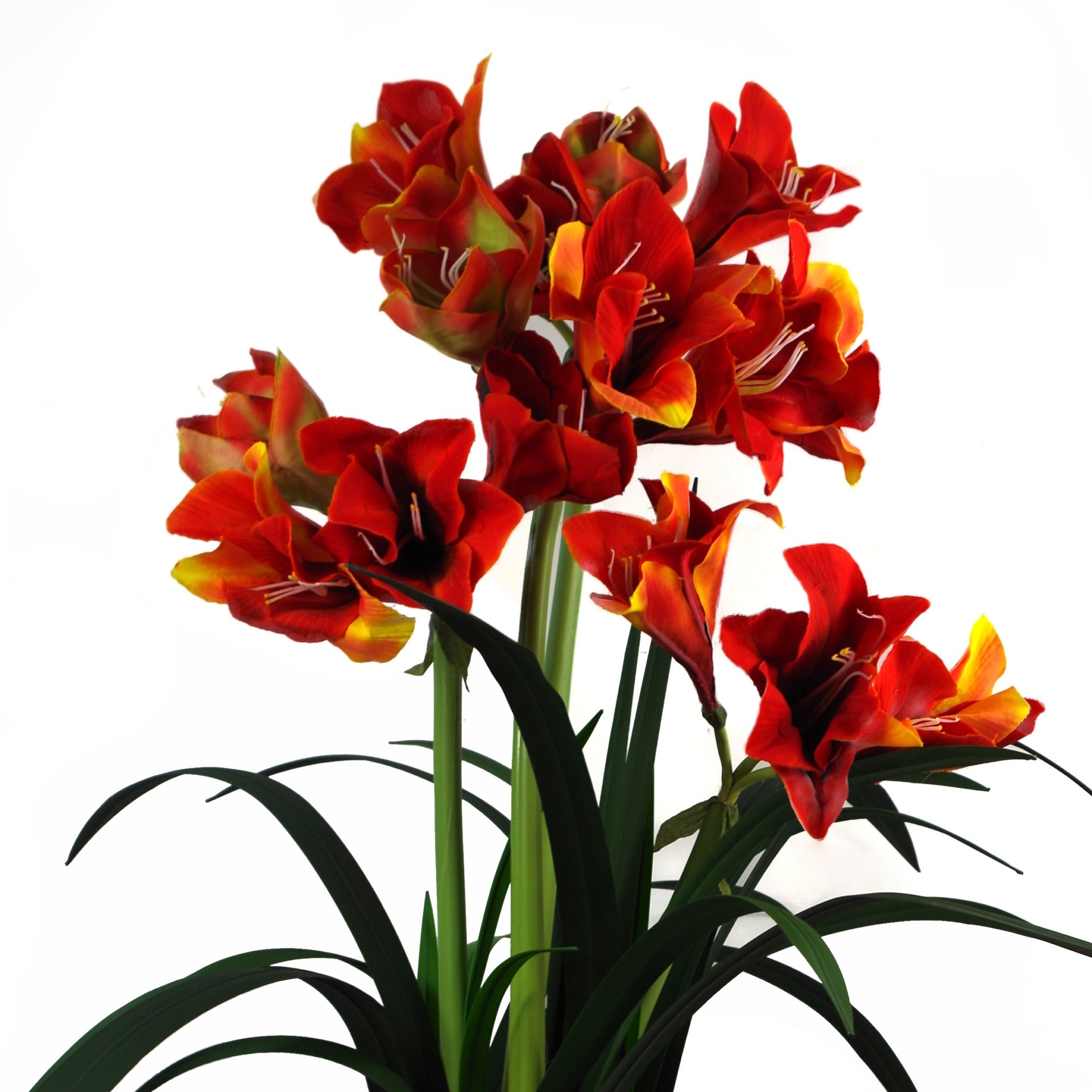 90cm Artificial Amarylis Orange