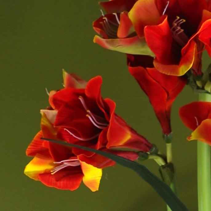 Artificial Amarylis Flowering Plant Orange