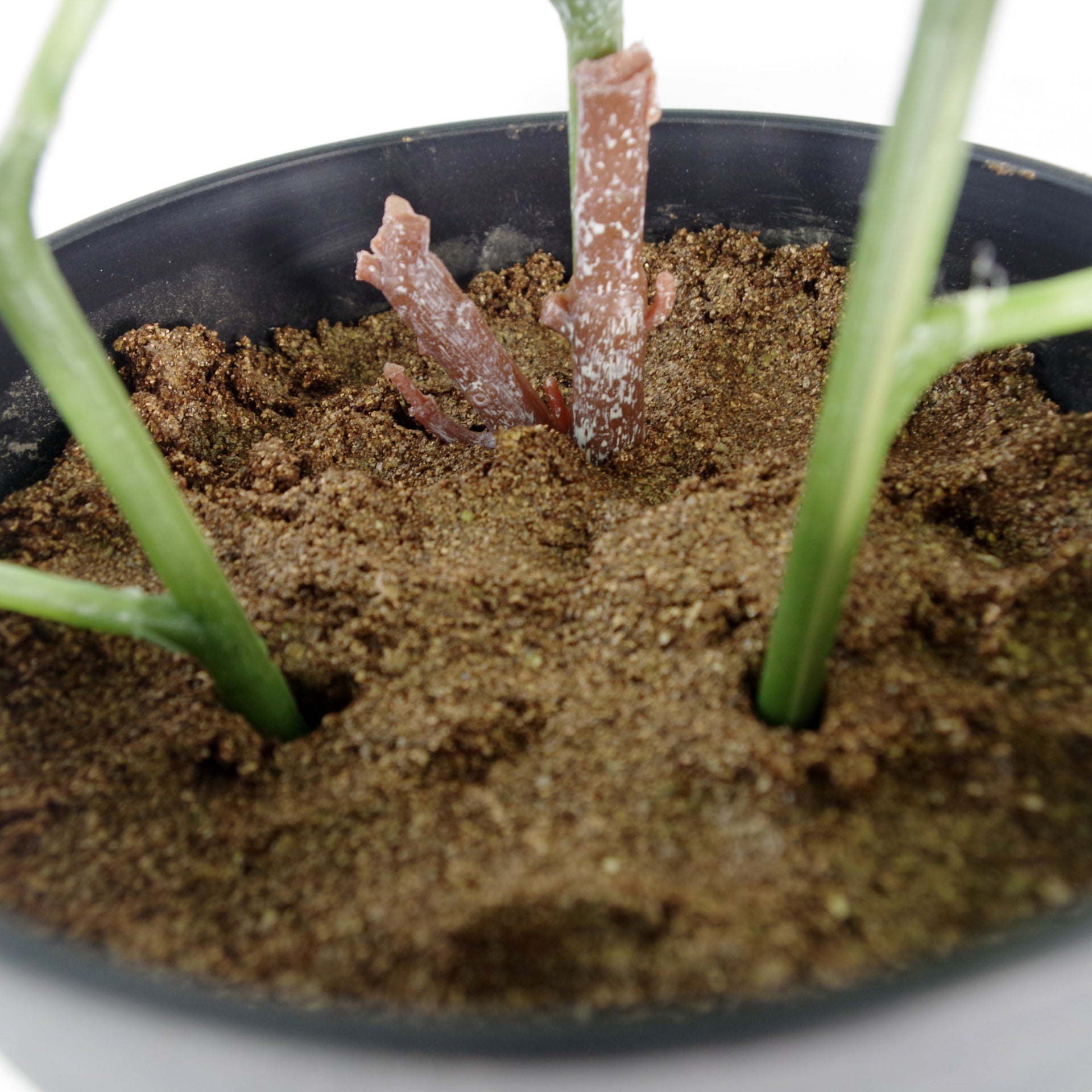 50cm Artificial Dhalia Plant Red