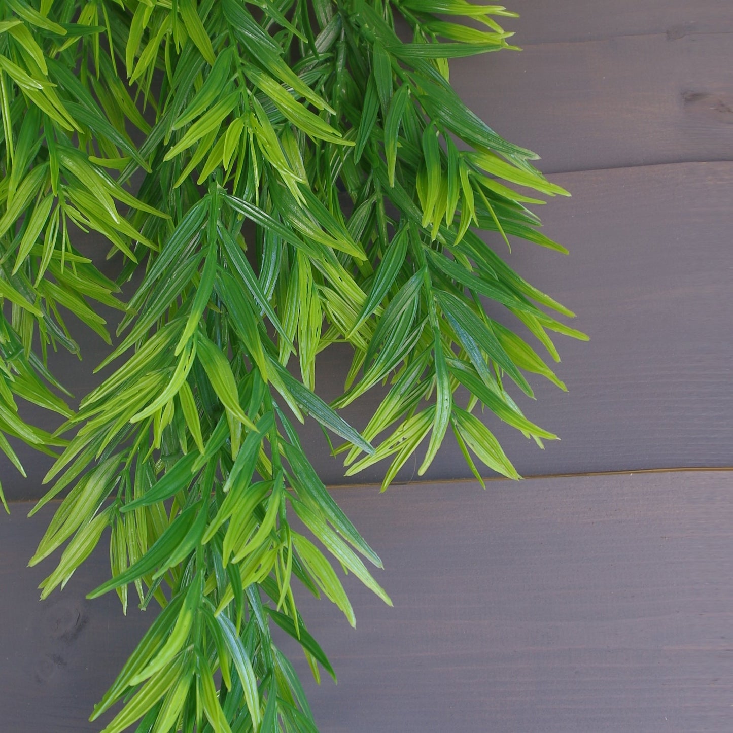 Pack of 12 x 75cm Artificial Hanging Thyme Plant
