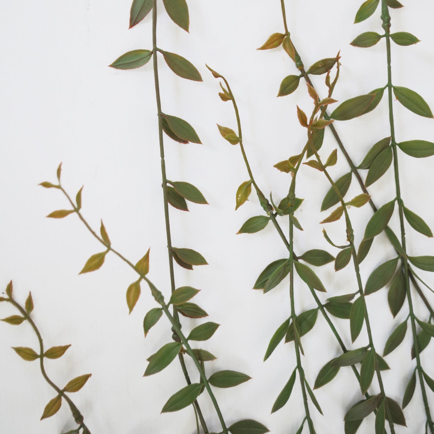 120cm Artificial Hanging String of Pearls