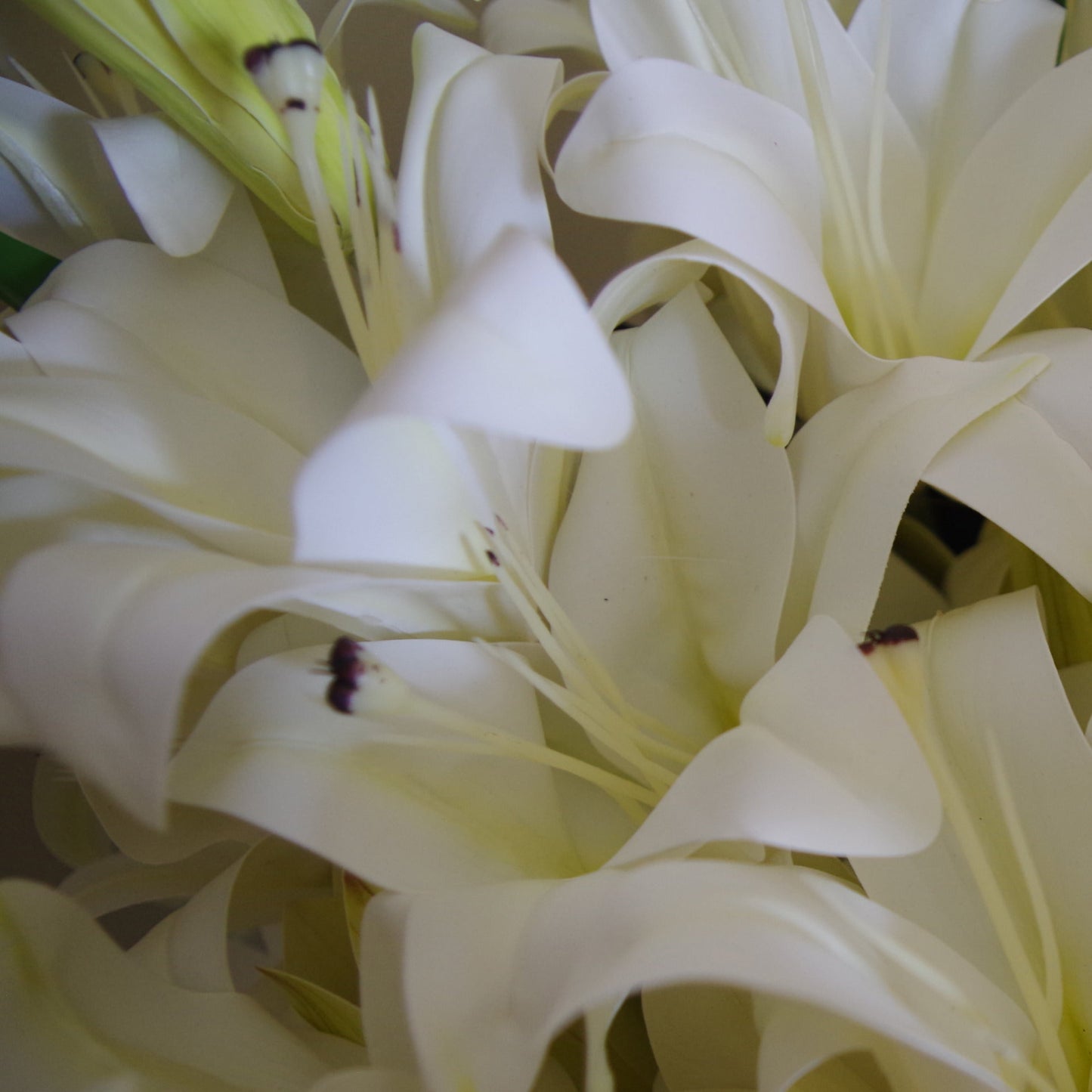 12 x 60cm Artificial Lily Stem White (144 Flowers)