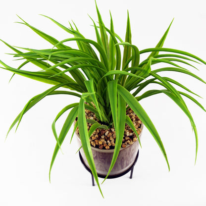 35cm Artificial Grass with Ceramic Planter & Metal Stand