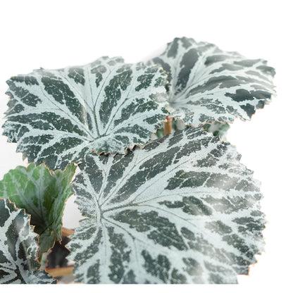 50cm Artificia Trailing Begonia Plant