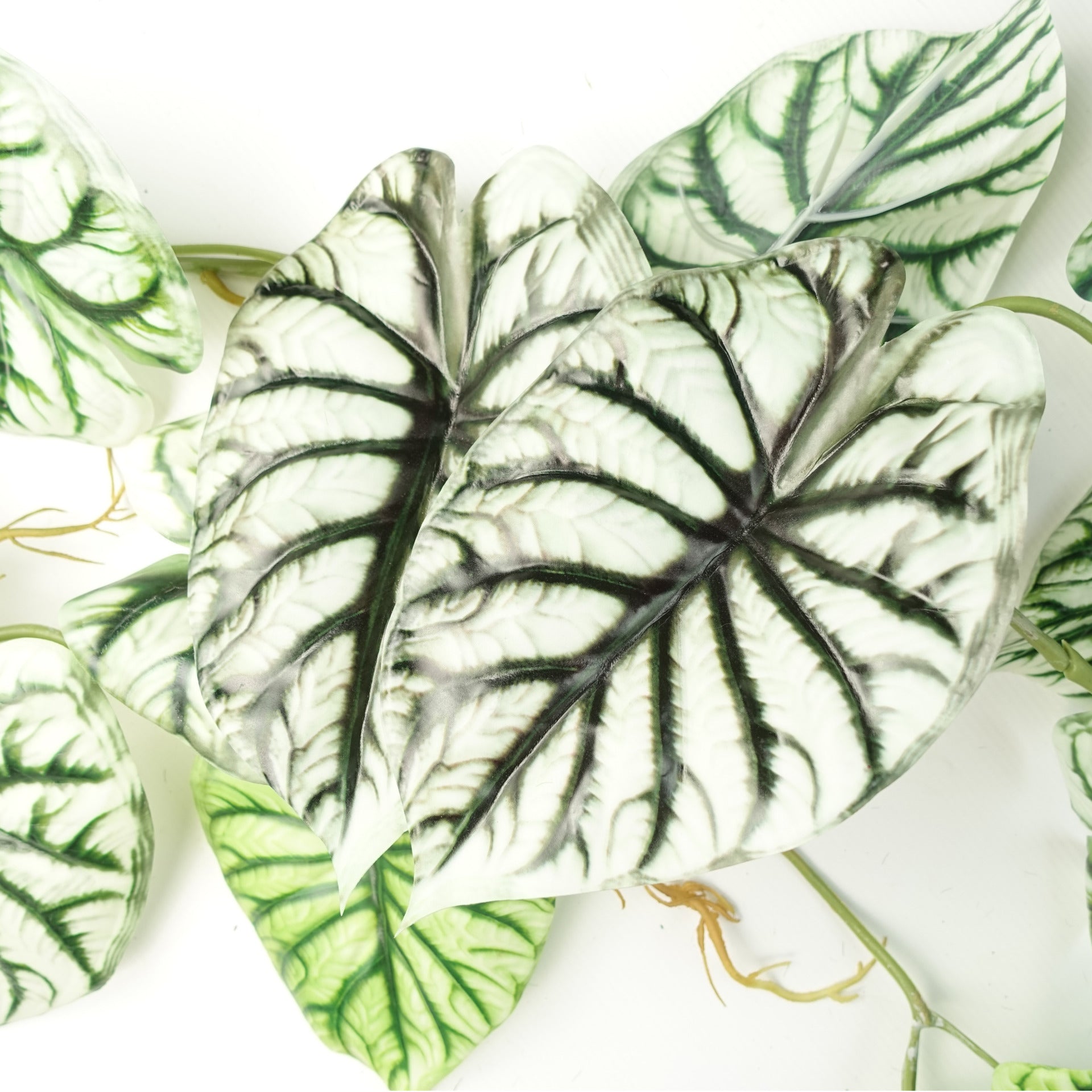 6 x 120cm Artificial Hanging Trailing Plant Alocasia Dragon Scale Light