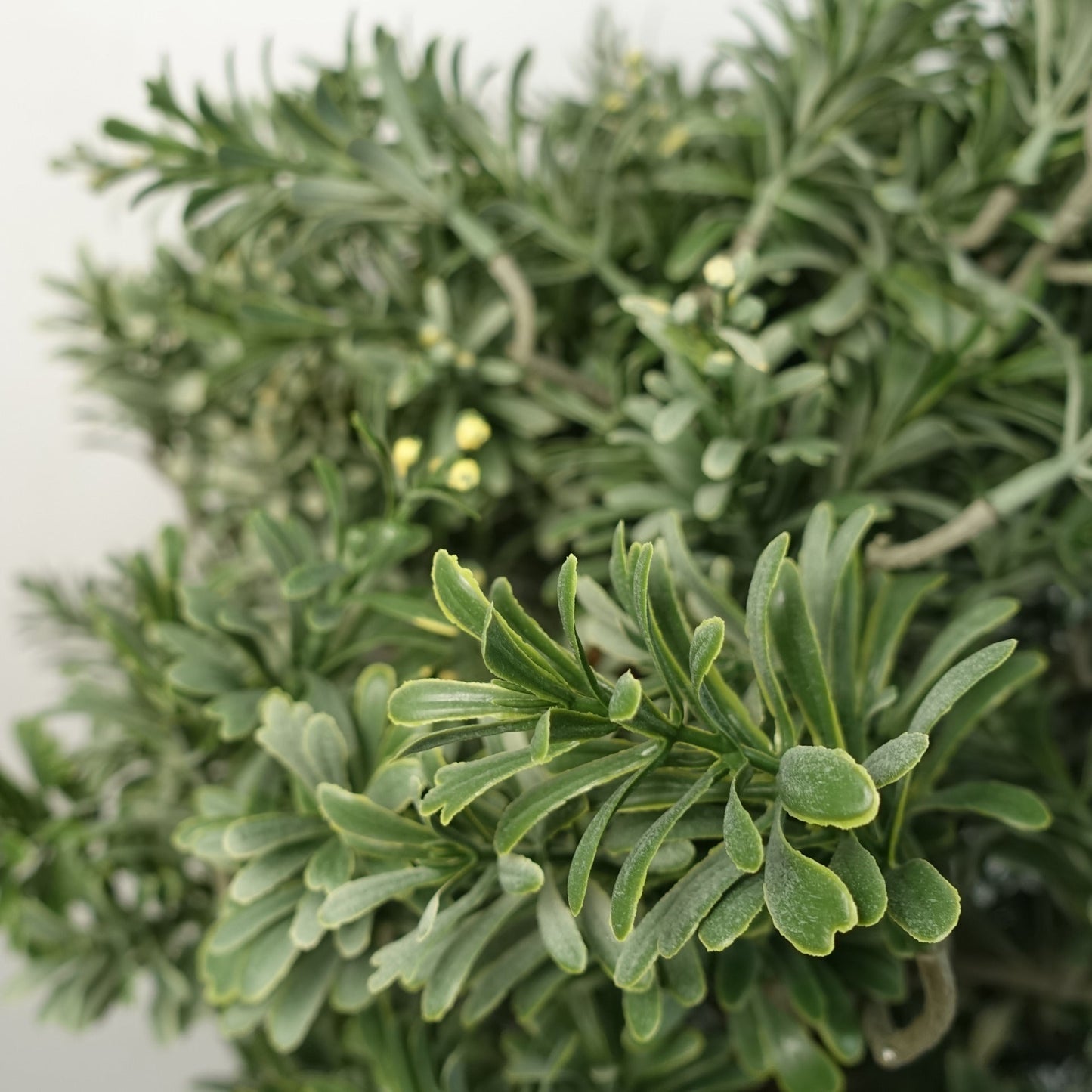 Artificial Topiary Artemisa Plant