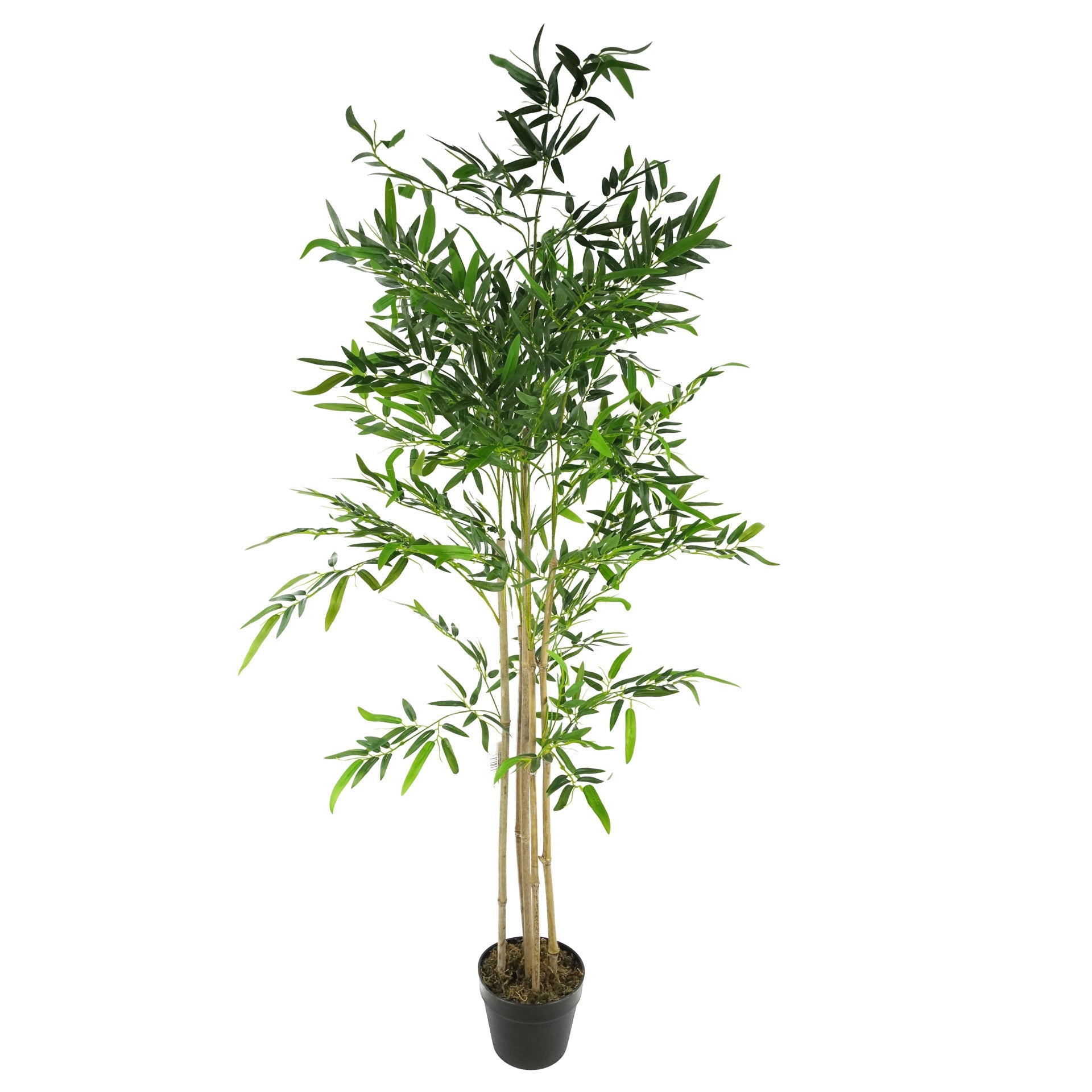 160cm Artificial Bamboo Plants Trees - Spring Green - XL