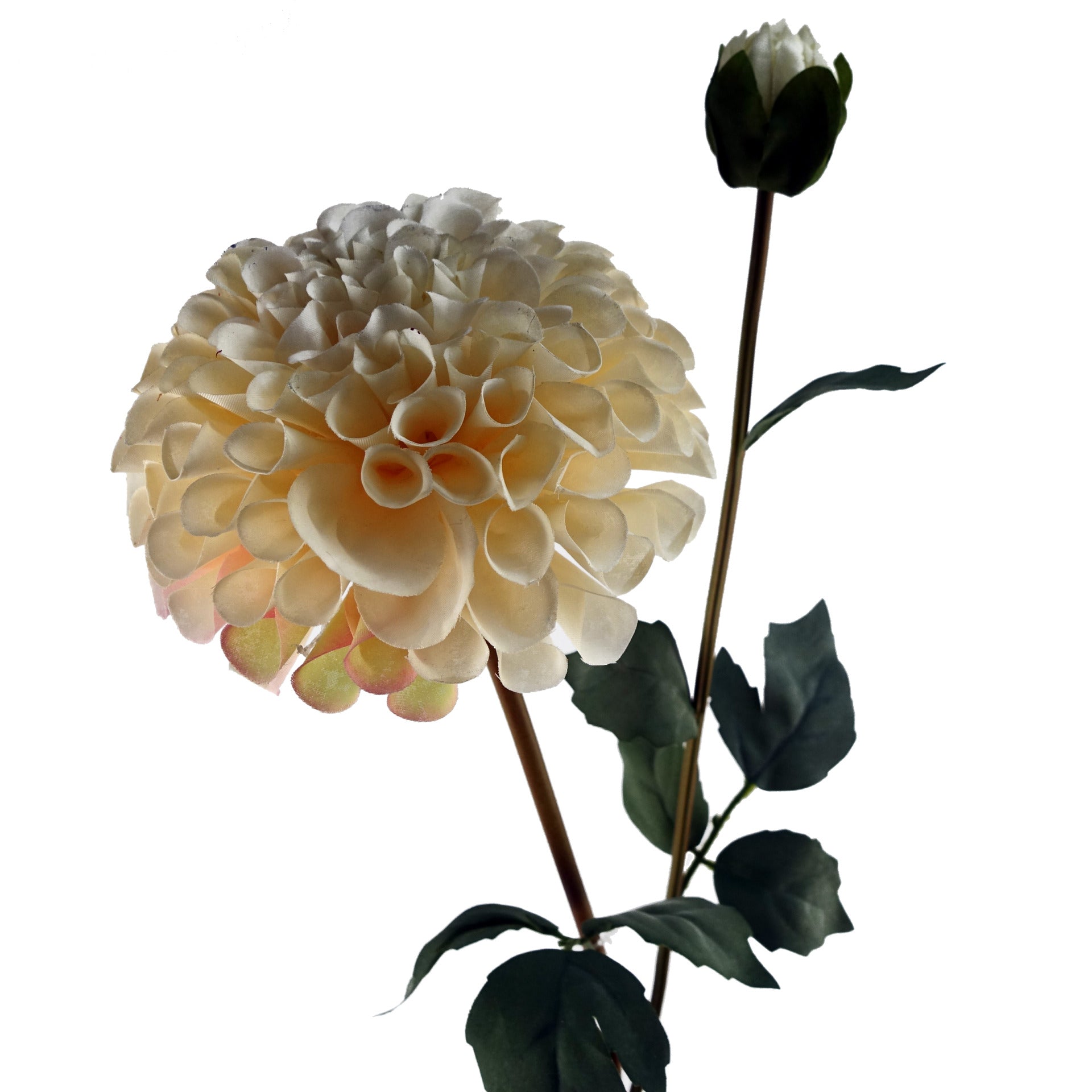 6 x 75cm Dhalia PomPom Artificial Flowers Cream