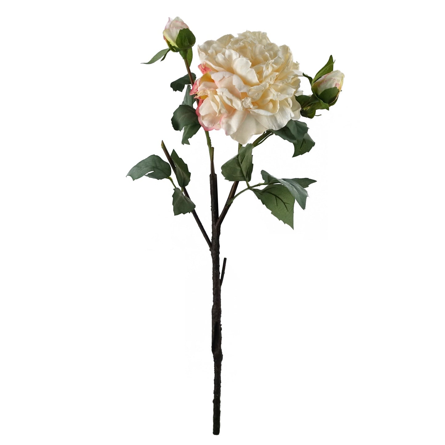 6 x 60cm Peony Artificial Flower Cream