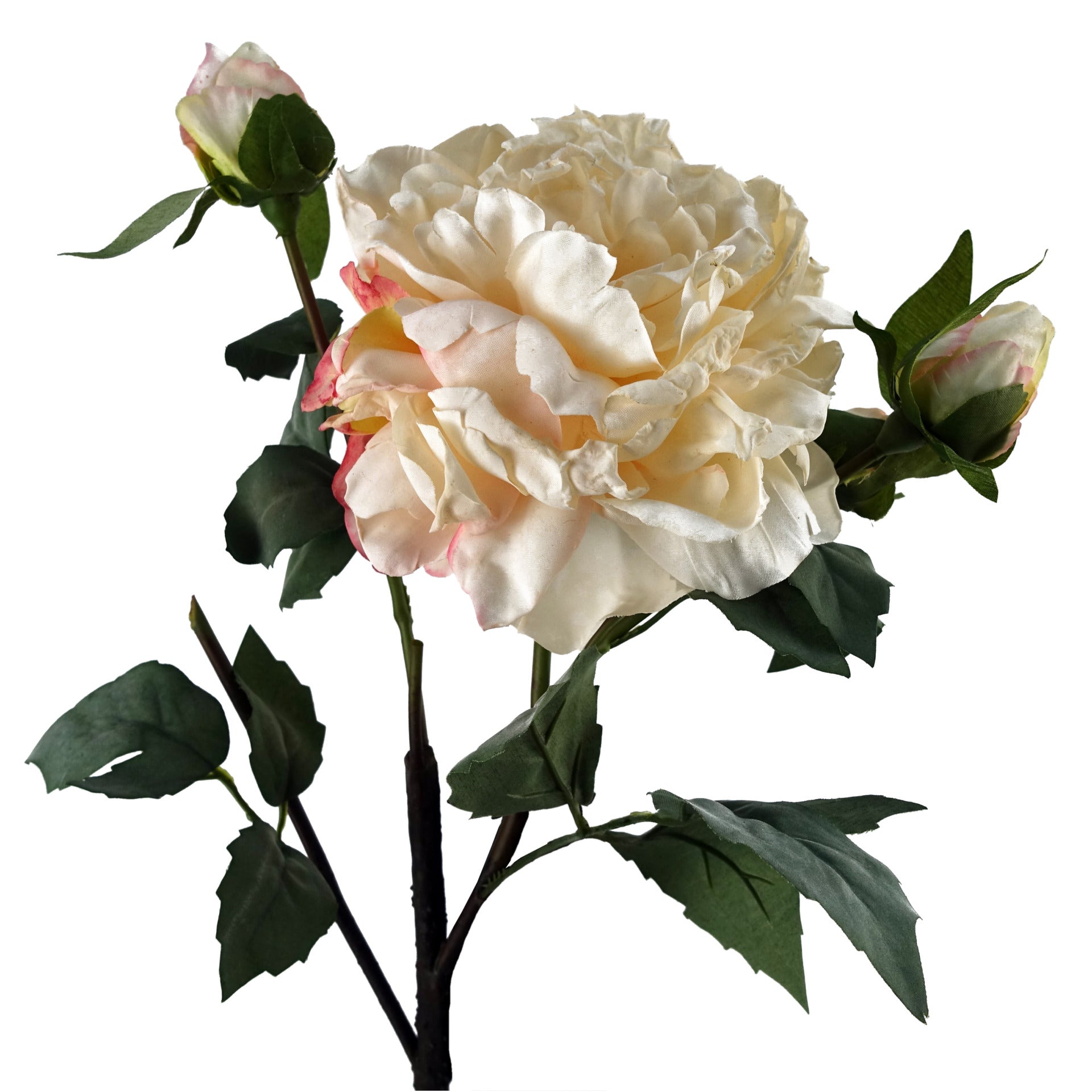 60cm Peony Artificial Flower Cream