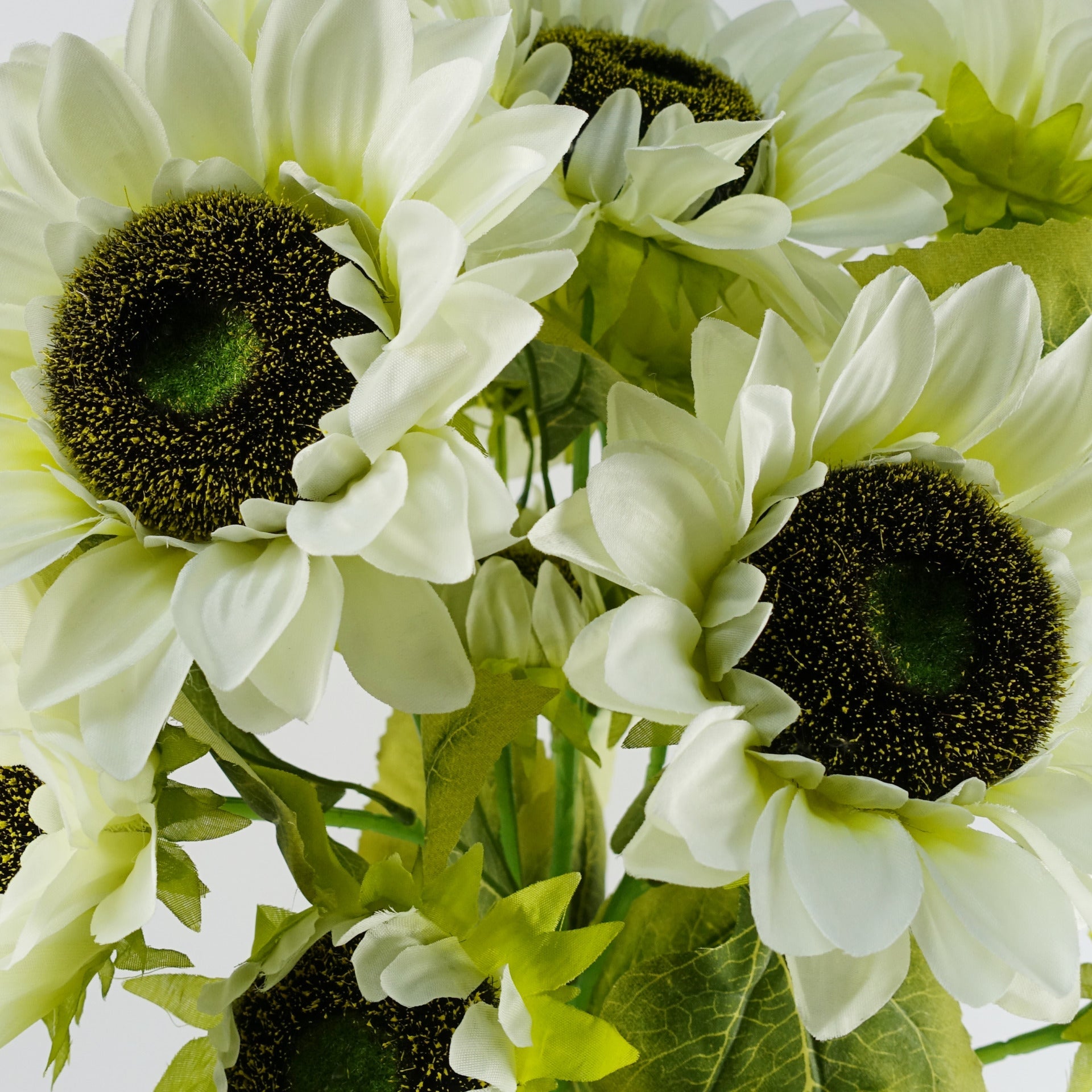 Pack of 6 x 88cm White Artificial Sunflower - 18 heads