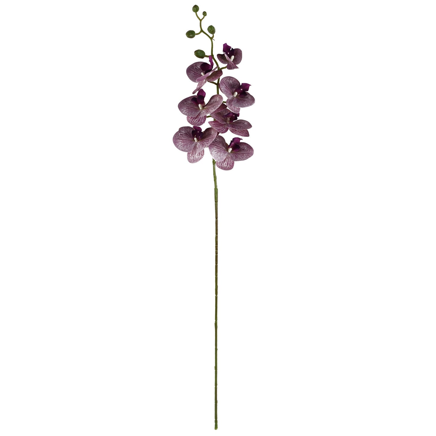100cm Artificial Phalaenopsis Orchid Purple Stem